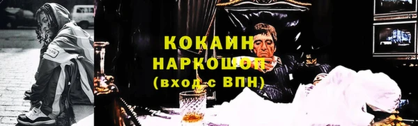 соль ск Богданович