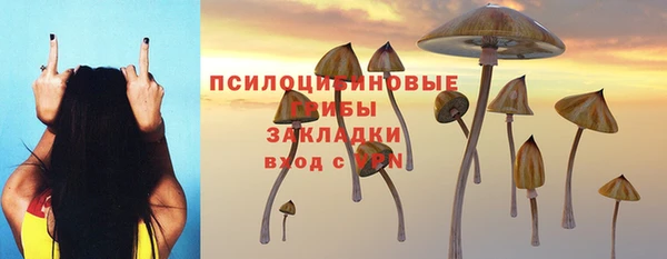 бошки Богородск