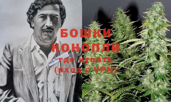 соль ск Богданович