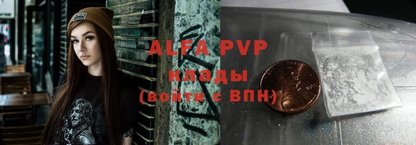 a pvp Бородино
